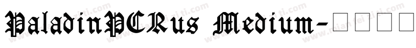 PaladinPCRus Medium字体转换